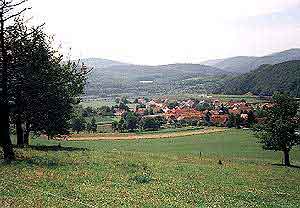Lindewerra-2